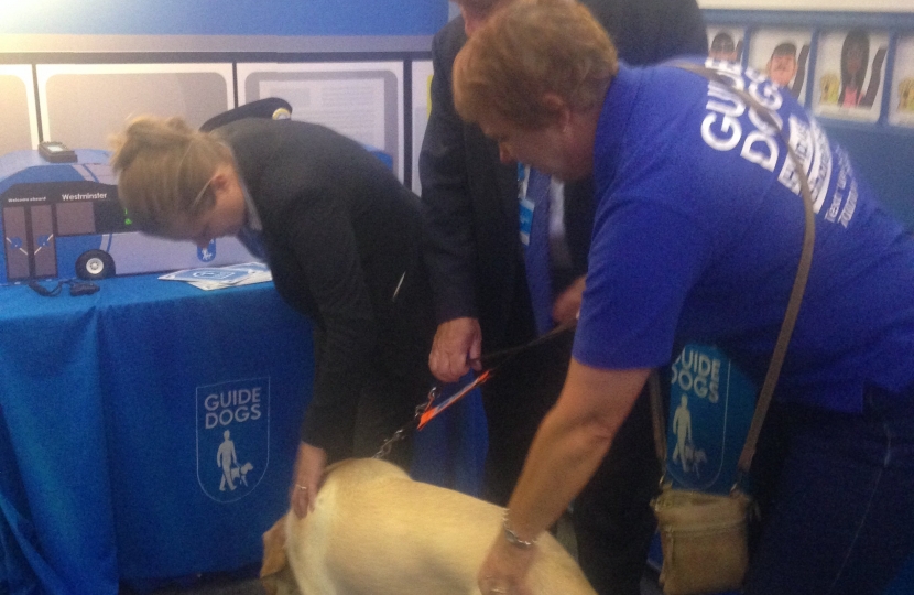 Guide dogs 
